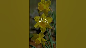 🎶 تلاوة نادرة من المنشاوي – سورة العلق لحظات تشرح الصدر