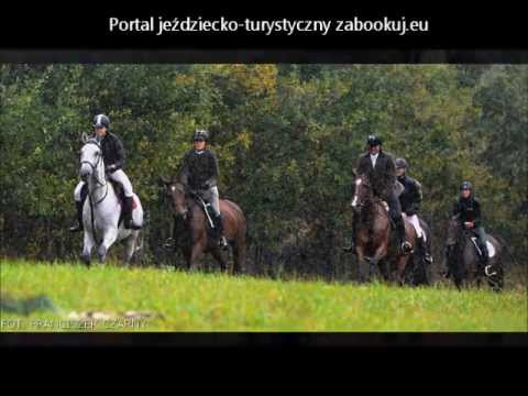 Hubertus Zasady Rozgrywania Zabookujeu Lifestyle