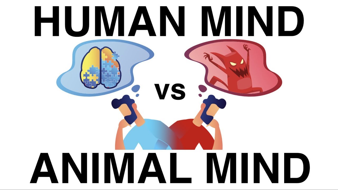 Animal mind