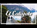 👉EL CALAFATE, descubriendo el Glaciar PERITO MORENO y mucho más 🔹 programa Contacto🌎🌍