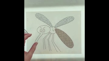 Mosquito applique quilt pattern time lapse #appliquepatterns #sewingpatterns