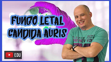 Como a Candida auris é transmitida?
