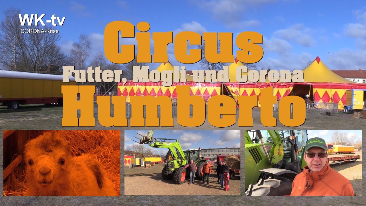 Futter, Mogli und Corona - Zirkus Humberto kämpft ums überleben -  Die Doku auf Wittstock-tv 2020 #3