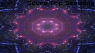 Iceman the Dj - Sound Trip Sessions - 16 - Techno mix