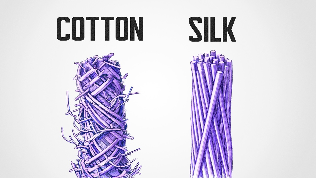 Why Silk Was So Expensive