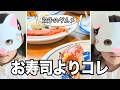 【3歳双子】初めてのくら寿司🍣夢中になったのはまさかの…?