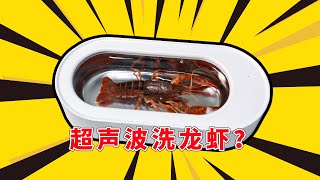 用超声波清洗机给小龙虾洗澡是一种什么样的体验？  ultrasonic washer