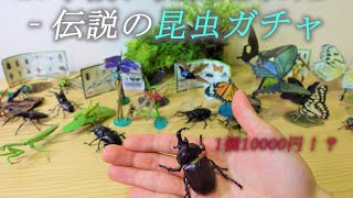 17年前の昆虫ガチャが超リアル！入手困難でひとつ１万円！？