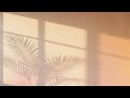 Golden Hour Background 1 Hour | Cozy Window Light & Palm Shadows
