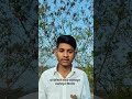 copy karo business bnao #viral #trending #explore #money #businessgrowth #learning