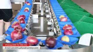 Automatic Onion Vegetable Weight Grading Machine