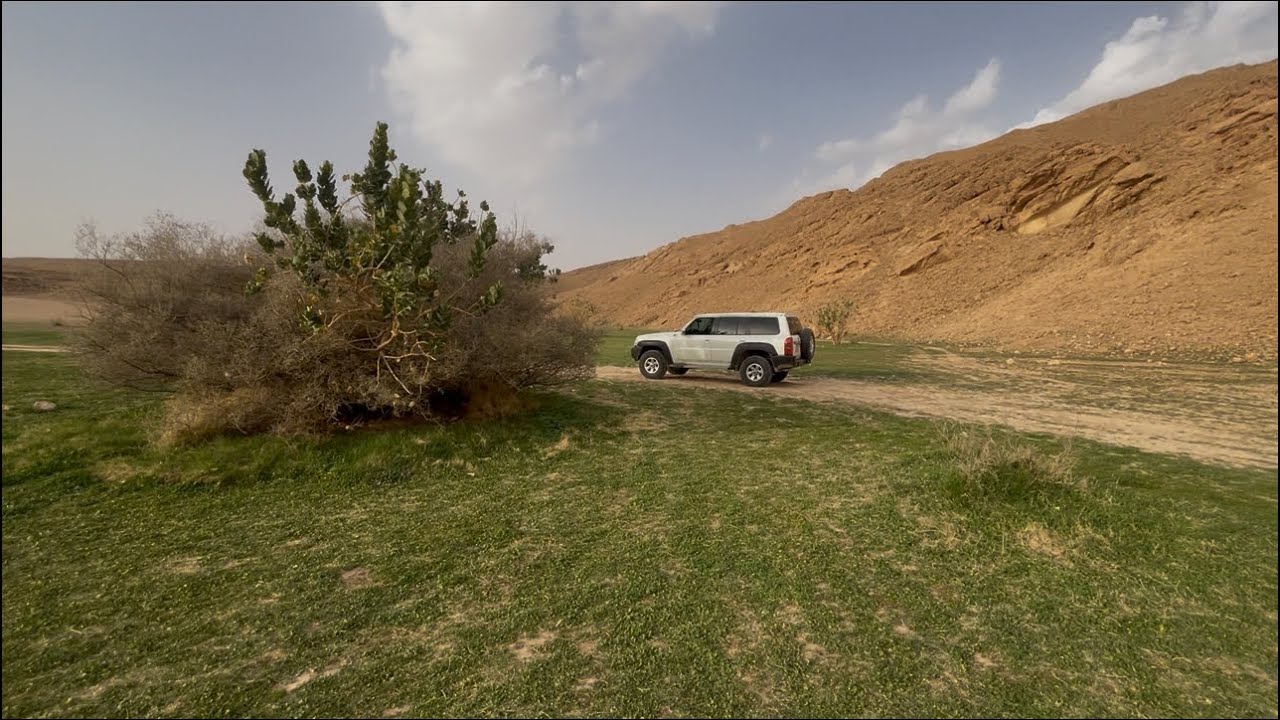 جوله لربيع🍀🍃(روضه نوره + المحتجبه + وما حوالينها ) #فياض#فيضه#4800#اكسبلور#كشتات_الشتاء 