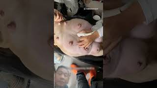 animal story 180#shorts