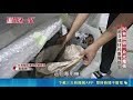 擺脫"光電板墳場"噩夢! 直擊黑科技30秒完成回收｜三立新聞LIVE