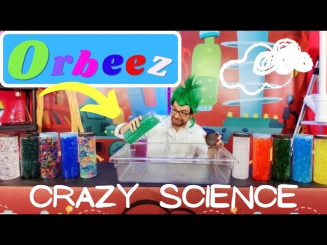 Exploring testable questions with Orbeez » Girls STEM Club - A