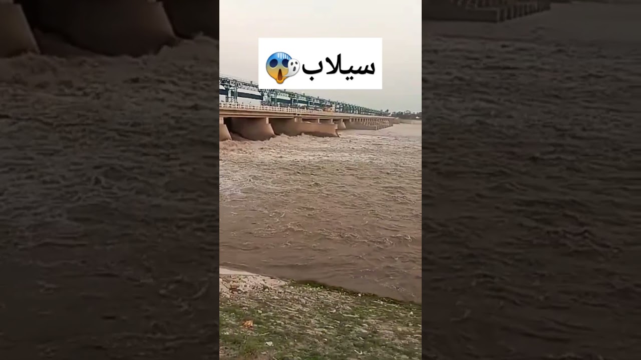 flood in punjab today satluj river