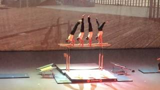 15Βͺ Gymnaestrada Mundial dia 4