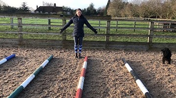 Trot and canter pole work distances! Horse riding Top Tips week 2!