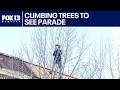 Fans climb trees to watch Super Bowl parade | FOX 13 Seattle