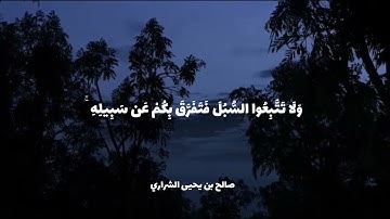 سورة الانعام - صالح بن يحيى #قران_كريم #القرآن_الكريم #تلاوة_مميزة #تلاوة_خاشعة