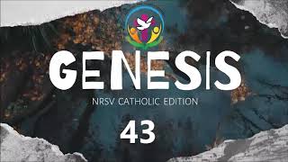 Genesis Chapter 43 | English Audio Bible | AFCM | NRSV Catholic Edition