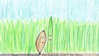 Das Samenkorn