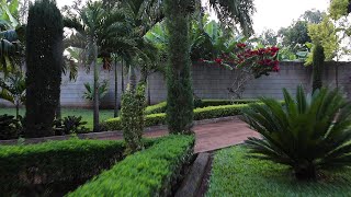 How About Among Kenya`s Top Tropical Palm Garden ?