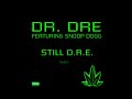 d.r.e remix - stillniy lezginka