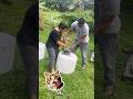 This Student Is Very Hard To Teach Funnyshorts This Student Is Very Hard To Teach Funnyshorts