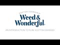 Doctor seaweeds weed  wonderful  an introduction to pure scottish seaweed