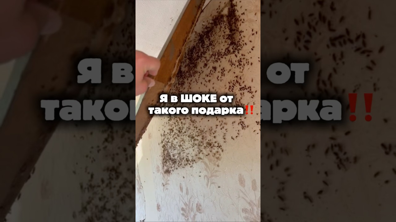 Артикул: Wildberries 