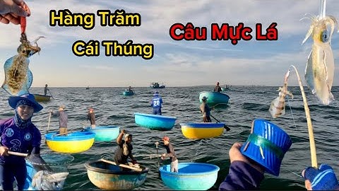 Nghề Câu Mực Lá | Hàng Trăm Cái Thúng Lênh Đênh Giữa Biển Câu Mực | Cảnh 86