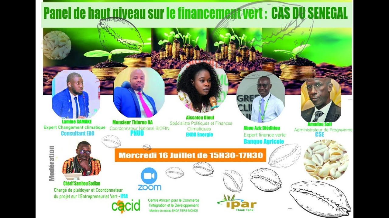 Webinaire sur le financement vert en Afrique
