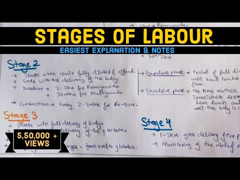 Labour - Stages of Labour - Easily explained - Hindi