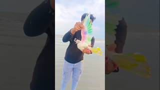 Bus vala kis ko bula rha hai 👀😂🕊️ #pigeon #publicreaction #reaction #reactionvideo #shorts #runts