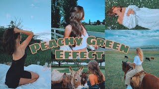 How to Edit Peachy Green Effect using RNI Films | Mark Macalisang✨ screenshot 5