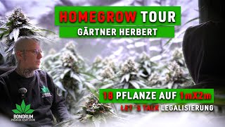 Homegrow tour at Herbert's garden: 18 plants on 1x2m – Motivations & Let's talk about legalization!