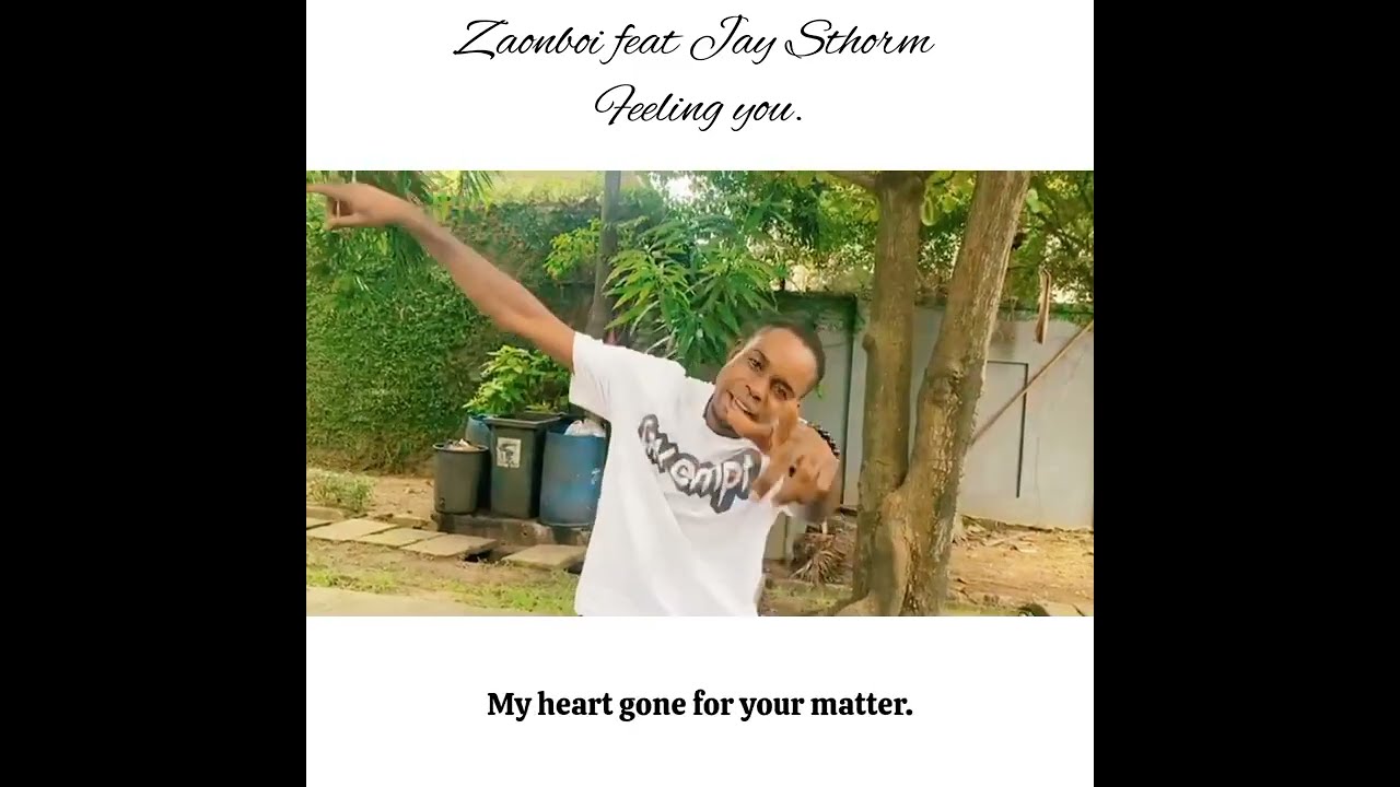 zaonboi feat Jay Sthorm - Feeling you (Official Viral video) 