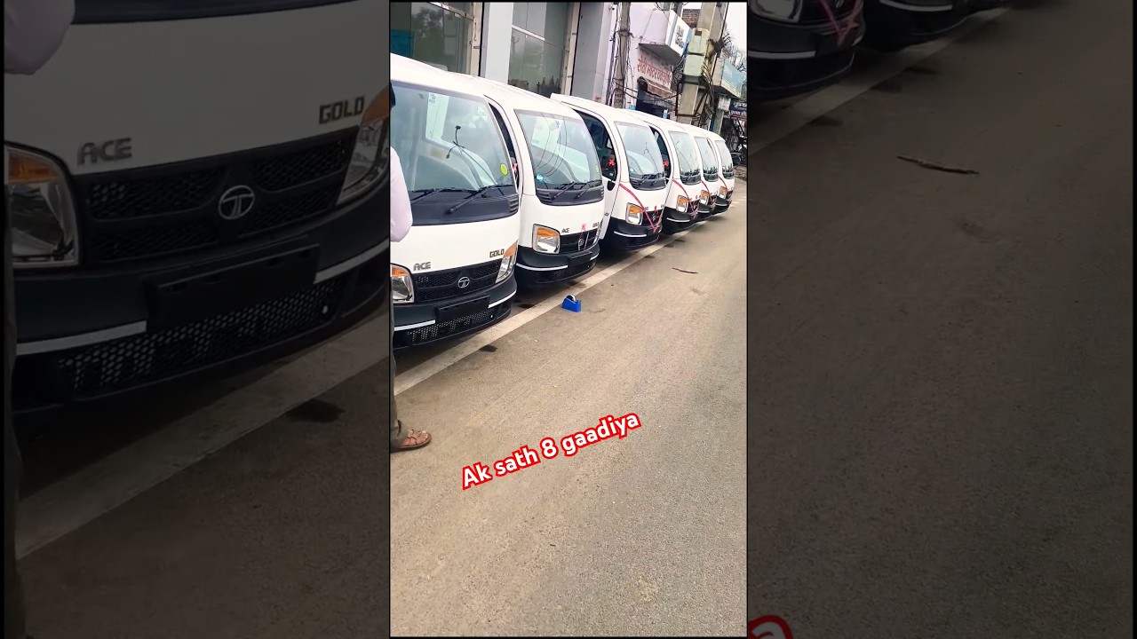 tata ace gold cng plus petrol|body maker bhiwani| pickup modified|tata truck|new pickup 