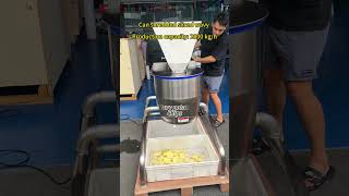 Large potato cutting machine Fruit and vegetable cutting machine
