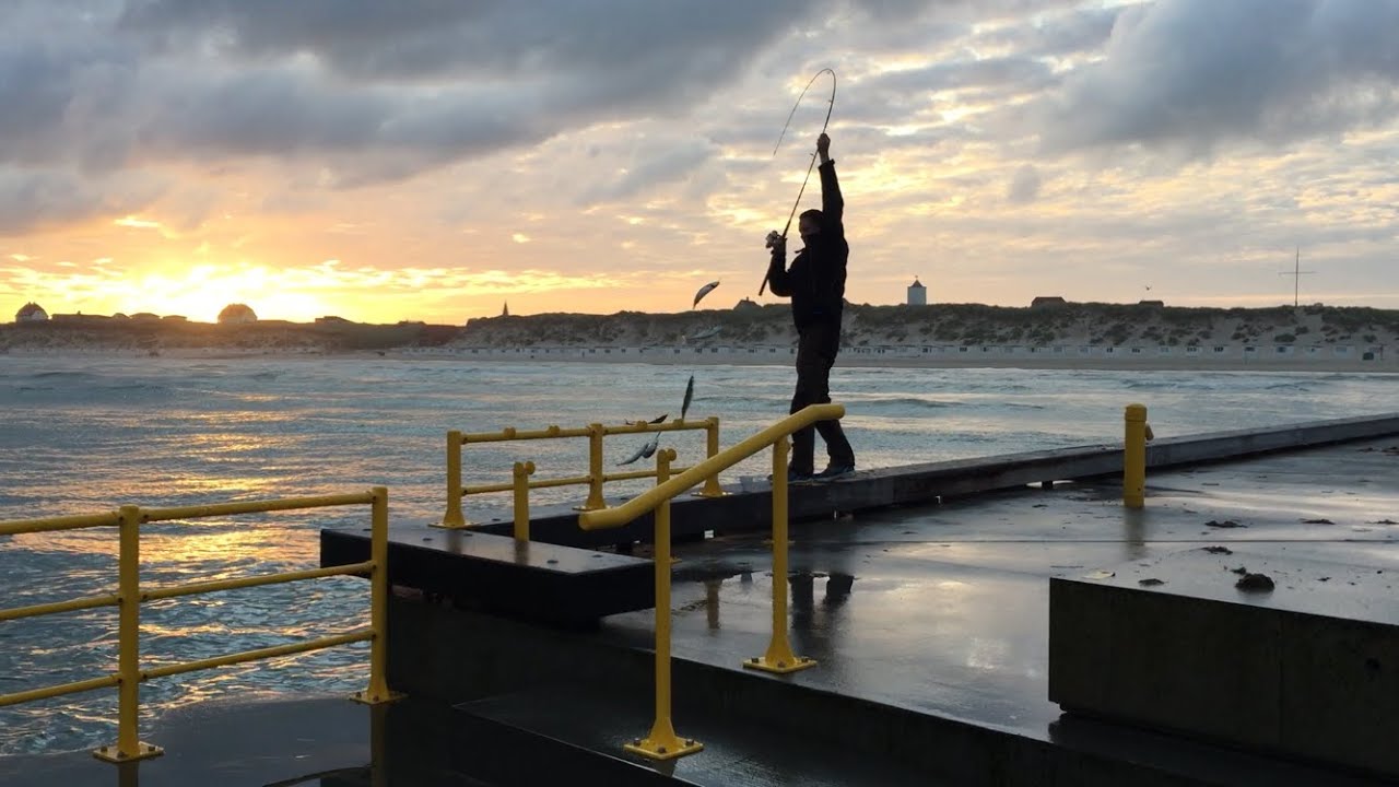 Makreleventyr på Løkken Mole