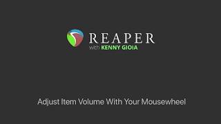 Adjust Item Volume With Your Mousewheel in REAPER