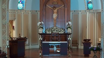 Mass at Nativity- Second Sunday of Advent- 12/8/2024 at 9:30AM with Fr. Tran