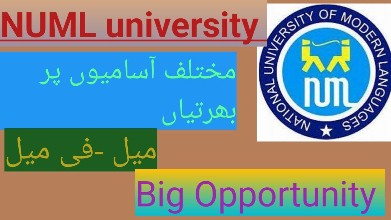 NUML University jobs 2022/Teaching jobs/Earningworld