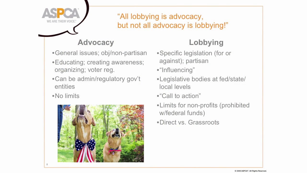 Grantseeker Best Practices: Getting Your Org's Ducks Cats & Dogs in a Row - conference recording