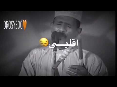 محمد النصري حالات واتساب خاتم المني