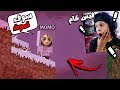 ماين كرافت دخلت الى عالم  و لقيت مومو الحقيقية هاجمتني في الحياة الواقعية