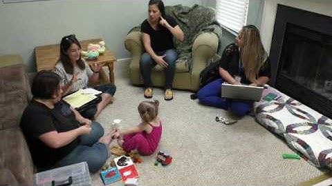 Early Intervention Assessment using the MEISR (May 2017 Pilot - VB)