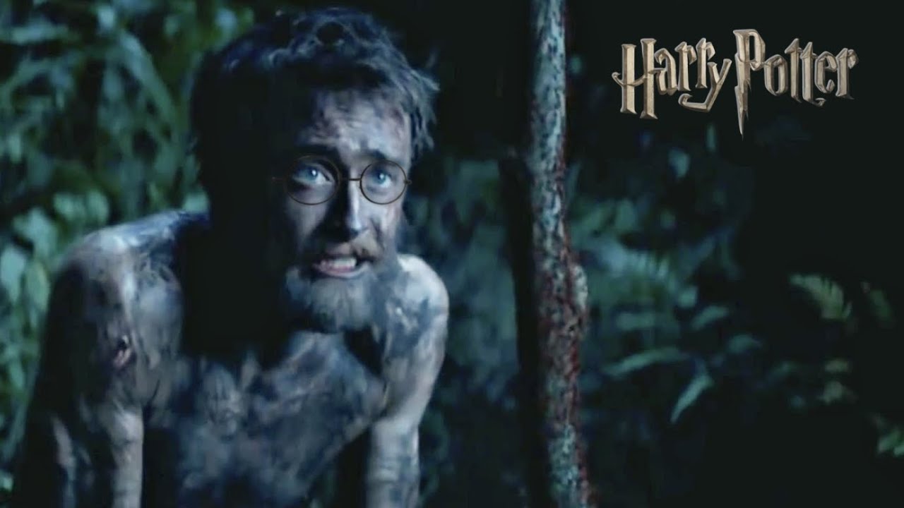 Where does Harry Potter go from here?