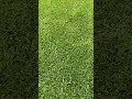Lawnmower Blade Update!